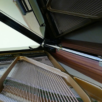 Zdjęcie wnętrza fortepianu.
