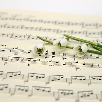 Zdjęcie zeszytu z nutami, na nim cztery przebiśniegi..