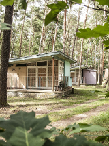 Na zdjęciu stare domki wypoczynkowe w lesie.