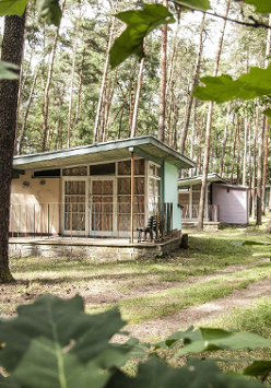 Na zdjęciu stare domki wypoczynkowe w lesie.