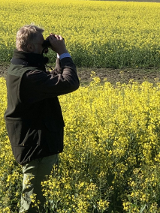 ornitolog z lornetką na tle kwitnącego rzepaku