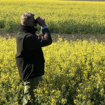 ornitolog z lornetką na tle kwitnącego rzepaku