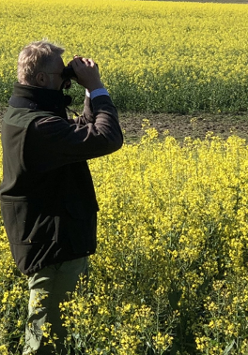 ornitolog z lornetką na tle kwitnącego rzepaku