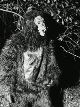 Rozwścieczony goryl