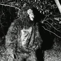 Rozwścieczony goryl