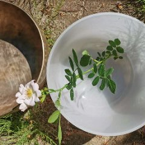 dwa instrumenty medytacyjne widziane z góry