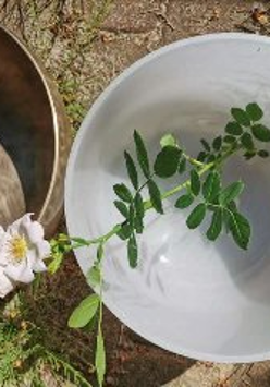 dwa instrumenty medytacyjne widziane z góry