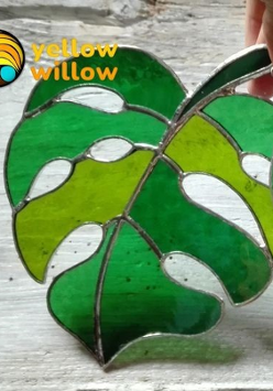 zielony, sercowaty liść Monstery w postaci witrażu