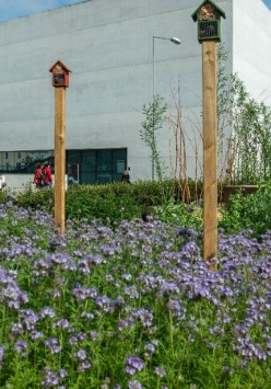 Na zdjęciu łąka przed Bramą Poznania.