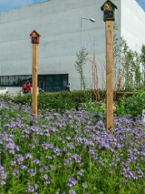 Na zdjęciu łąka przed Bramą Poznania.