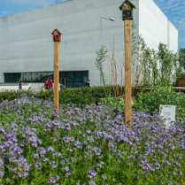 Na zdjęciu łąka przed Bramą Poznania.