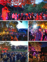 Na zdjęciu ubiegłoroczna edycja Blok Festu.