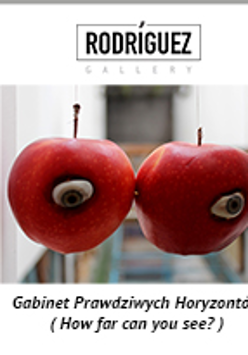 zdjęcie Agnieszka Grodzińska, Apple View, 2016