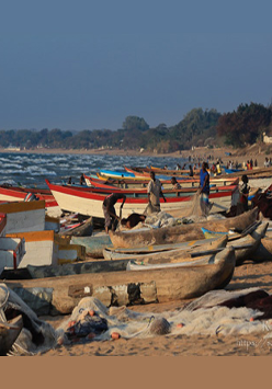 Zdjęcie z jednej z wypraw, prawdopodobnie Zimbabwe