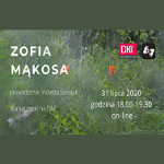 zielona łąka, dwa czerwone maki, wznosi się mgła, fotografia A. Sabiłło