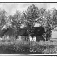 Zdjęcie z pudełka od cygar. Marian Stamm (1911-2005)