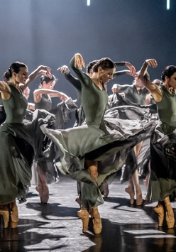 Grupa tancerek w zielonych sukniach i w podobnych tanecznych pozach, z uniesionymi rękoma. Jednolite, szare tło.