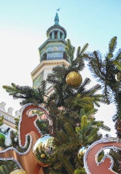 Zdjęcie przedstawia gałązki choinki z ozdobami. W tle widać Ratusz.