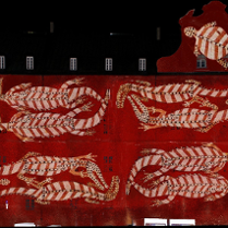Na zdjęciu fragment mappingu.