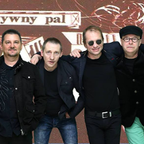 Zespół Sztywny Pal Azji