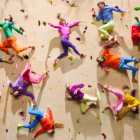 "Zielnik" z Nagrodą Publiczności we Francji