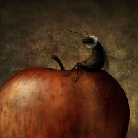 Zilustrować świat dziecka