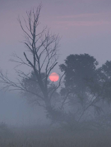 zimowa panorama z czerwonym księżycem