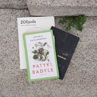 Zrozumieć bioróżnorodność miasta