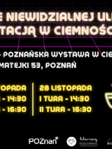 Grafika ilustrująca