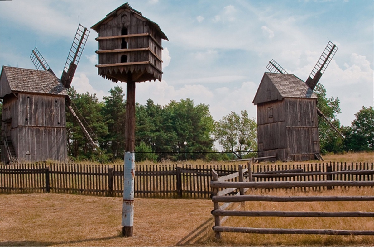 Rural landscape: a birdhouse on a pole, a fence behind it. Two wooden windmills in the background.