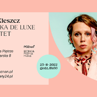 Concert poster - photo of the singer and information about the event.