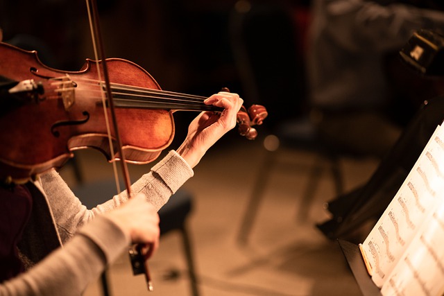 The photo shows a musician playing the violin.