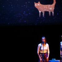 Photo from the concert: a woman performing on stage.