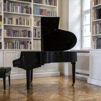 Photo of a black grand piano. The white bookcase and a window as a background.