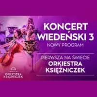 Concert poster with information about the event.