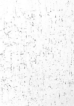 One of the exhibition works: black dots and spots on white background.