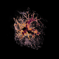 The photo shows a color spot in warm shades of red, pink, yellow and brown on a black background.