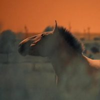One of the exhibition works: picture of a horse.