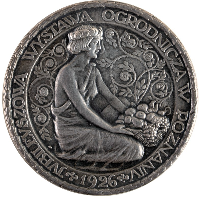 Silver medal - one of the exhibits of the exhibition