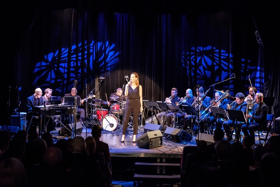 photo of MUSIC FROM THE POLISH TV SERIES OF THE SOCIALIST ERA