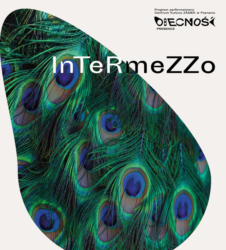 The graphic shows a fragment of a peacock feather on a white background and the inscription "Intermezzo"