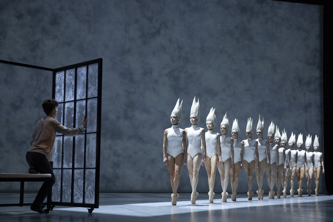 Photo frm the performance: a ballet dancers in white costumes in a row.