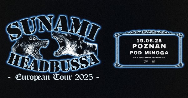 The concert poster