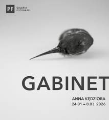 Graphics promoting the exhibition