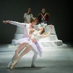 The Nutcracker