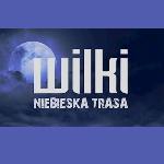 poster of wilki concert