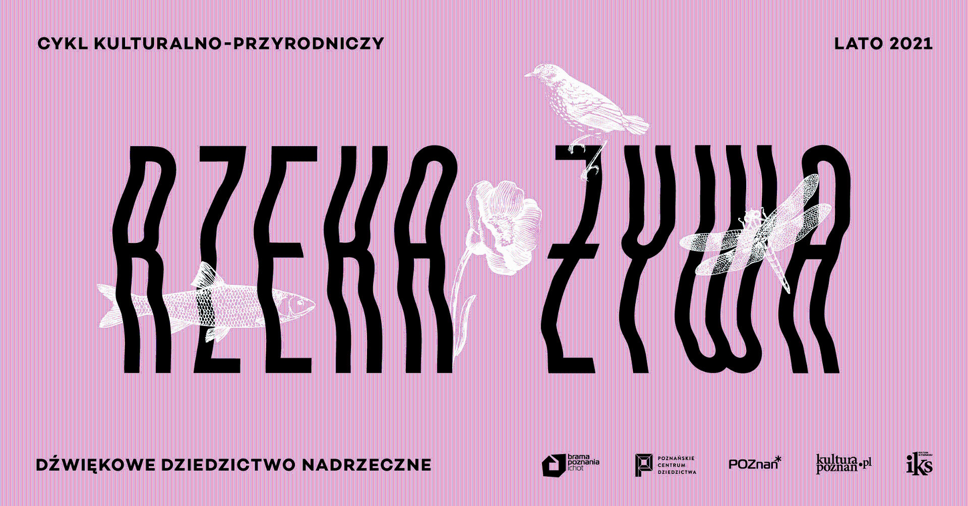 Na banerze zanwa cyklu.