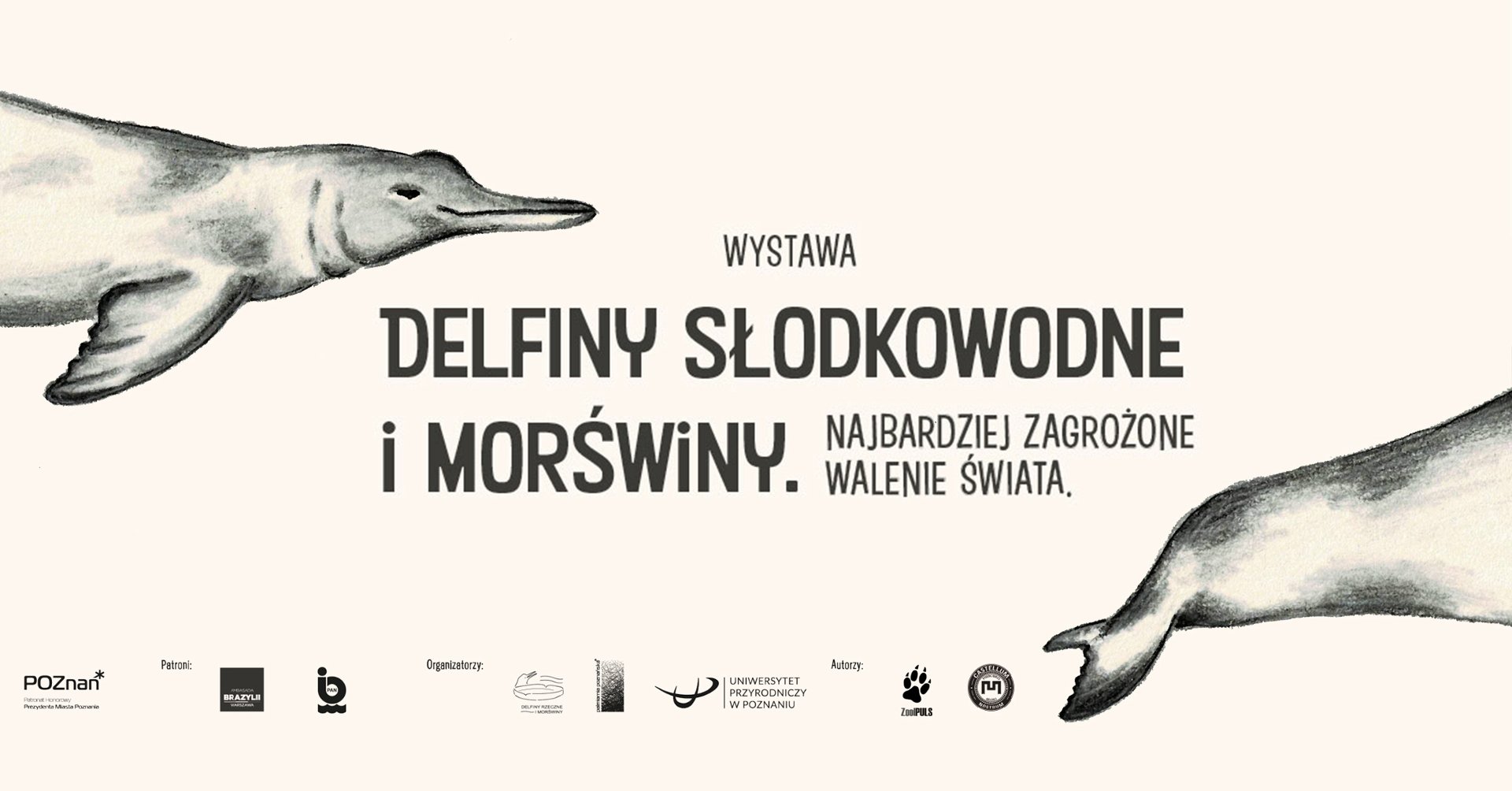 Na różowym tle wizerunek morświna.