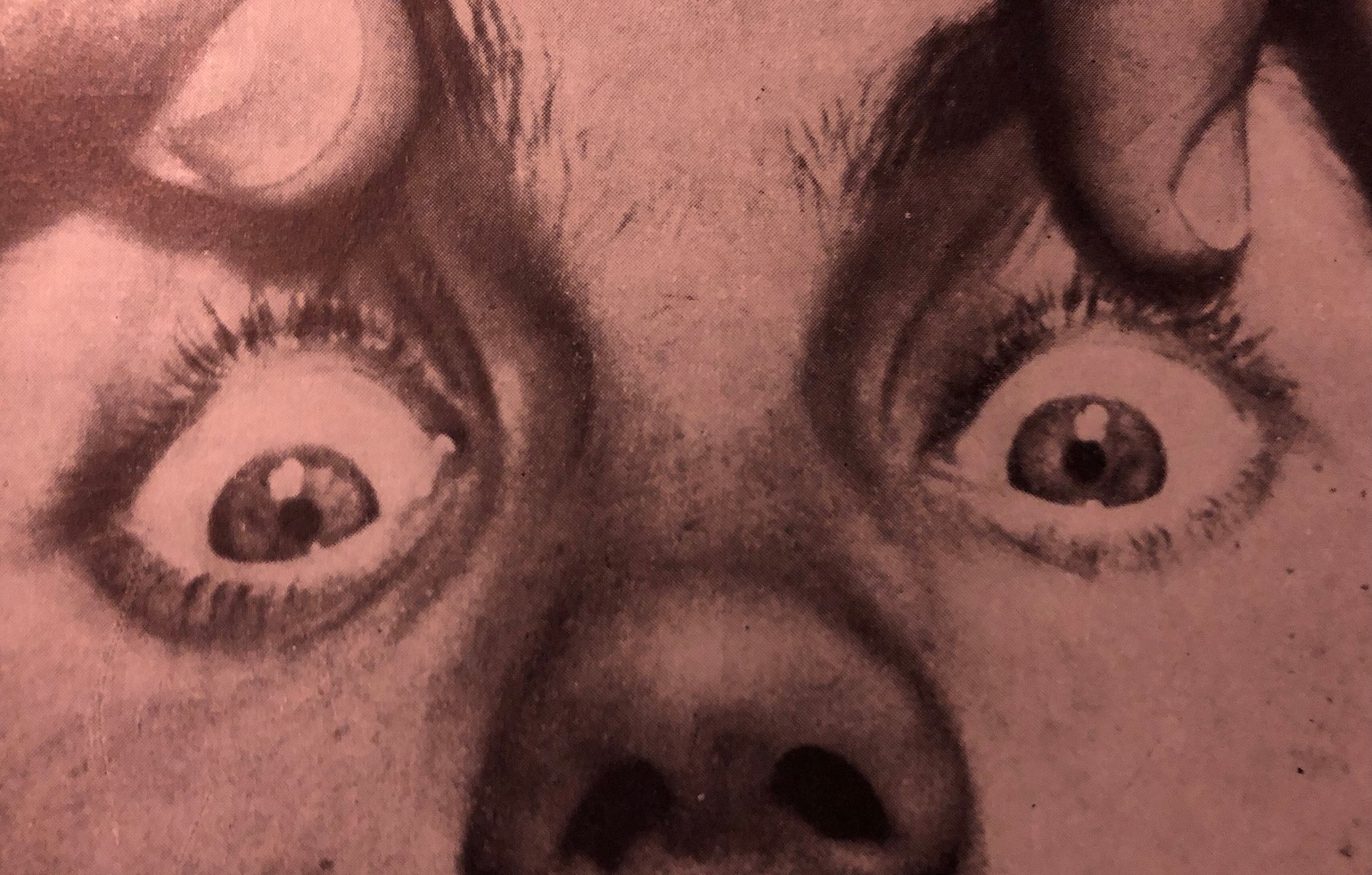 Jedna z prac artysty.