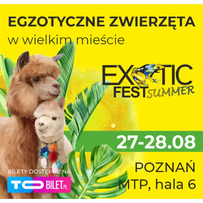 Baner promujący wydarzenie.